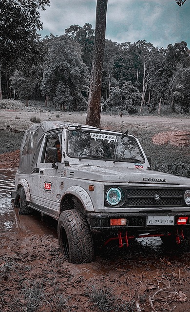 狗子28(中国)官方网站 - 狗子28大舞台,有梦你就来