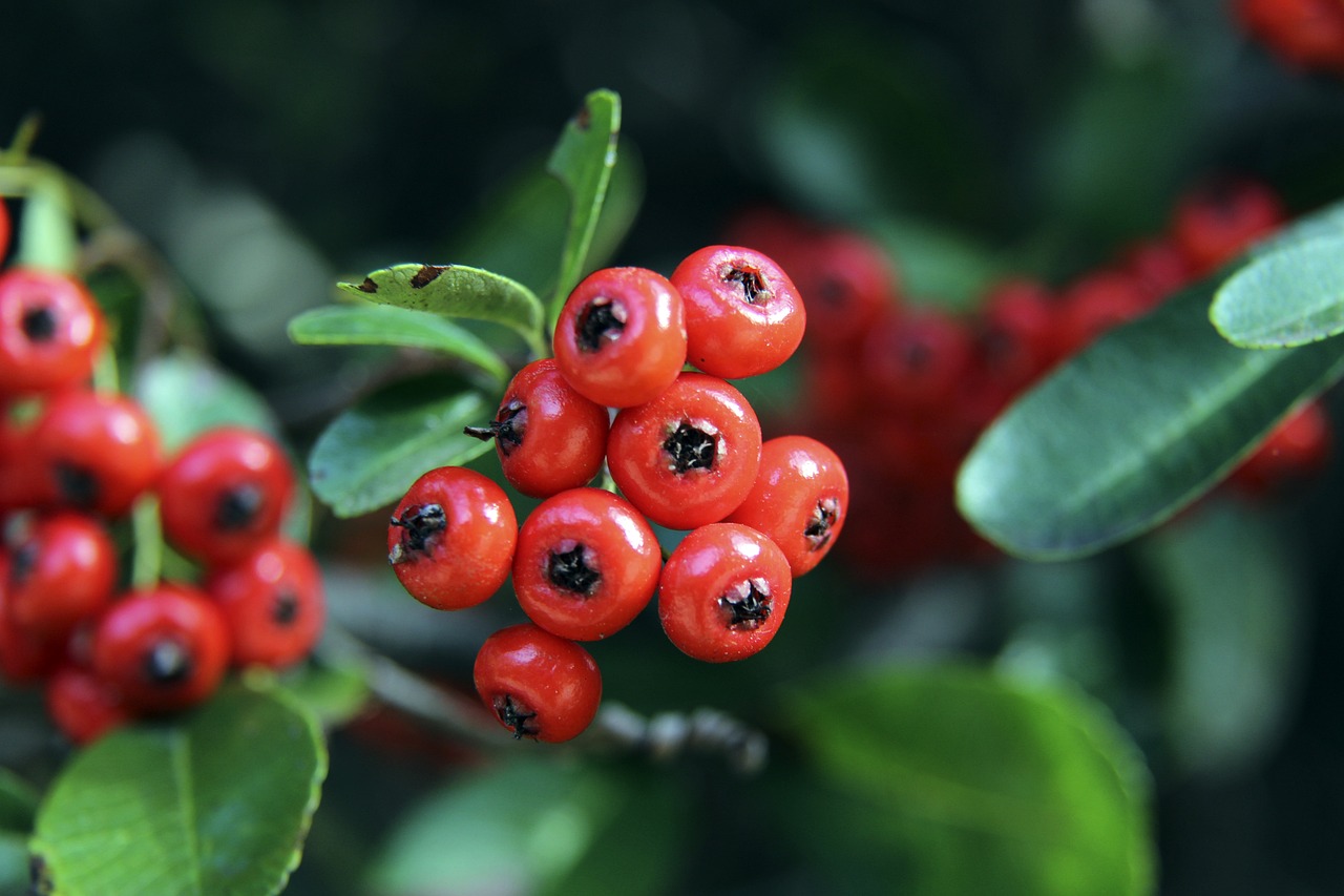 力显著提高 力显著提高