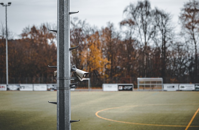 的冰雕和灯 的冰雕和灯