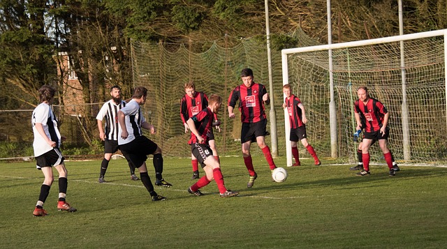 华裔足球运 华裔足球运