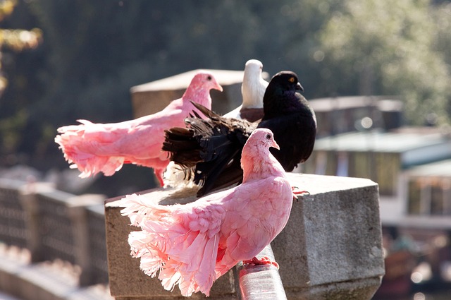 通过这些案 通过这些案