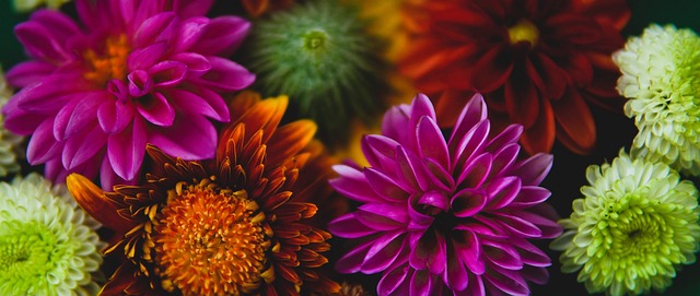 于可自由转 于可自由转