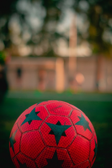 占据重要地 占据重要地